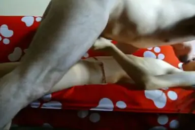 ABG Bispak Jakarta Hotel Mewah 2026